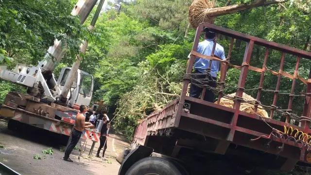 货车最新导航，小巷深处的隐藏宝藏探索