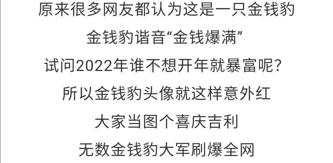 装潢材料 第15页